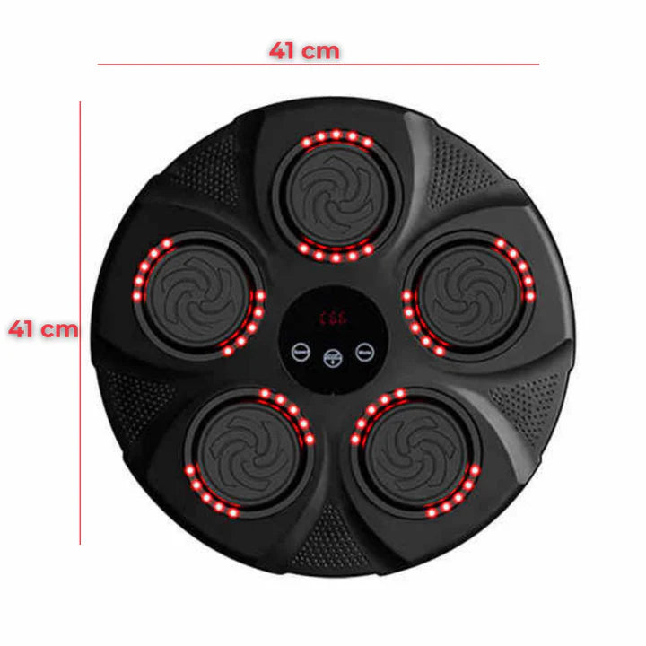 PANEL DE BOXEO + GUANTES